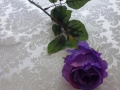 Růže poupě fialová MH91814